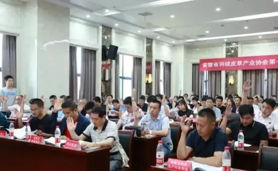 安徽省羽绒皮草产业协会成立，夏吉国总裁任第一届理事会顾问